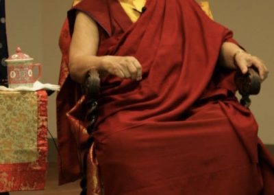 Khenpo Karthar Rinpoche, 2014